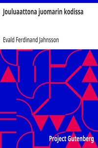 Jouluaattona juomarin kodissa