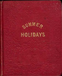 The summer holidays :  a story for children