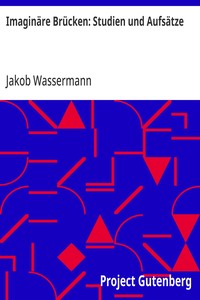 Imaginäre Brücken: Studien und Aufsätze