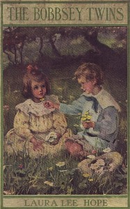 The Bobbsey Twins