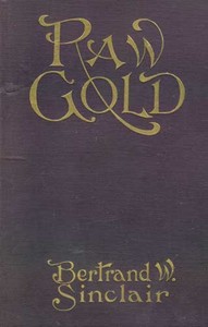Raw gold :  a novel