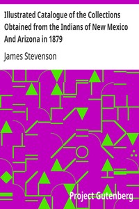 Illustrated Catalogue of the Collections Obtained from the Indians of New Mexico And Arizona in 1879