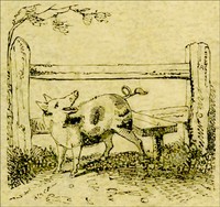 The Remarkable Adventures of an Old Woman and Her Pig