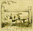 The Remarkable Adventures of an Old Woman and Her Pig