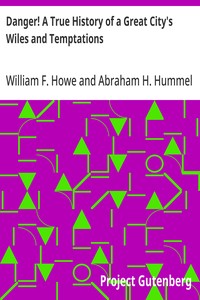 Danger! A True History of a Great City's Wiles and Temptations
