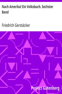 Nach Amerika! Ein Volksbuch. Sechster Band