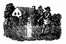The Planters of Colonial Virginia