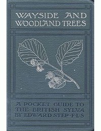 Wayside and woodland trees :  a pocket guide to the British sylva