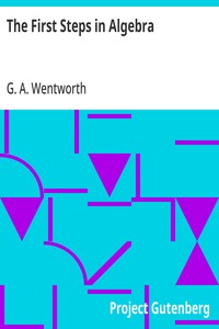 The First Steps in Algebra