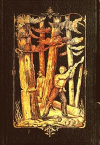 Forest Life and Forest Trees: comprising winter camp-life among the loggers, and wild-wood adventure.