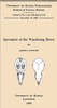 Speciation of the Wandering Shrew