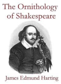 The Ornithology of Shakespeare