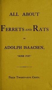 All about Ferrets and Rats
