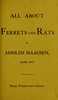 All about Ferrets and Rats
