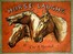 Horse Laughs