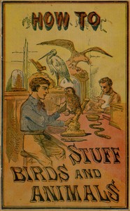 How to stuff birds and animals :  A valuable book giving instruction in collecting, preparing, mounting, and preserving birds, animals, and insects