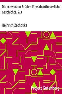 Die schwarzen Brüder: Eine abentheuerliche Geschichte. 2/3