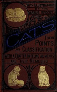Cats: Their Points and Characteristics