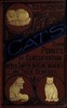 Cats: Their Points and Characteristics