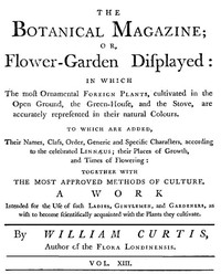 The Botanical Magazine,  Vol. 13