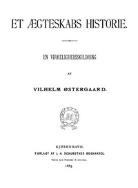Et Ægteskabs Historie: En Virkelighedsskildring