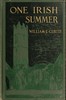 One Irish Summer