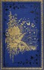 The Insect