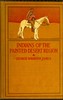 The Indians of the Painted Desert Region: Hopis, Navahoes, Wallapais, Havasupais