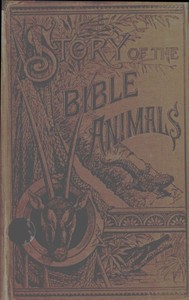 Story of the Bible Animals