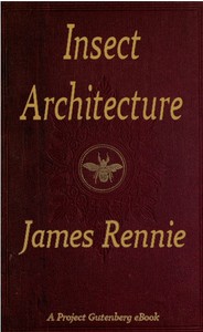 Insect Architecture