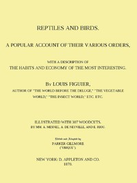 Reptiles and Birds