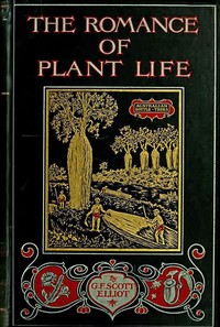 The Romance of Plant Life
