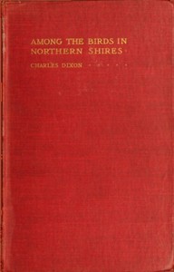 Among the Birds in Northern Shires