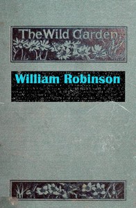 The Wild Garden