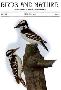 Birds and Nature Vol. 11 No. 3 [March 1902]