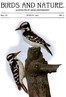 Birds and Nature Vol. 11 No. 3 [March 1902]