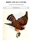 Birds and All Nature, Vol. 4, No. 3, September 1898
