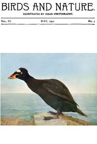 Birds and Nature Vol. 09 No. 5 [May 1901]