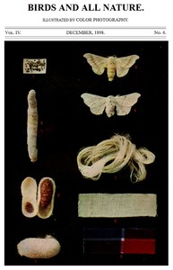 Birds and All Nature, Vol. 4, No. 6, December 1898