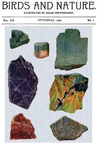 Birds and Nature, Vol. 12 No. 2 [July 1902]