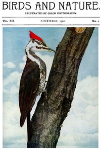 Birds and Nature, Vol. 12 No. 4 [September 1902]