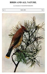 Birds and All Nature, Vol. 5, No. 5, May 1899