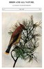 Birds and All Nature, Vol. 5, No. 5, May 1899