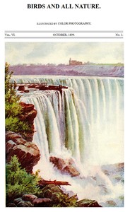 Birds and All Nature, Vol. 6, No. 3, October 1899