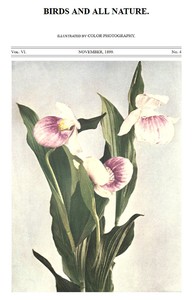 Birds and All Nature, Vol. 6, No. 4, November 1899