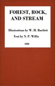Forest, Rock, and Stream