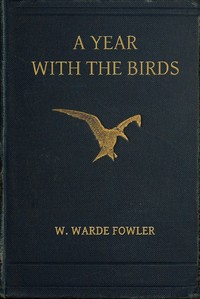 A Year with the Birds