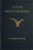 A Year with the Birds