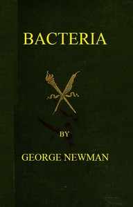 Bacteria