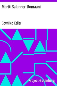 Martti Salander: Romaani
